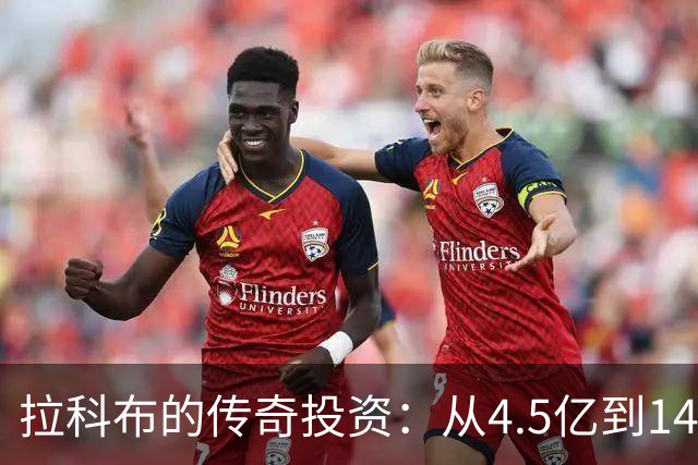 拉科布的传奇投资：从4.5亿到145亿的惊人回报