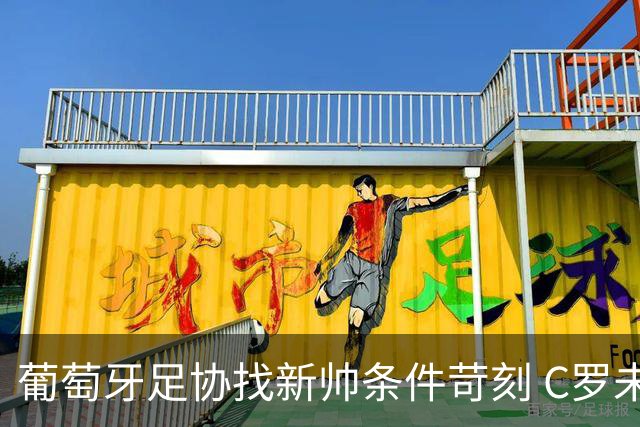 葡萄牙足协找新帅条件苛刻 C罗未留队成关键因素
